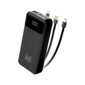 20,000 mAh High Capacity Power Bank with LED Display Battery Charger
